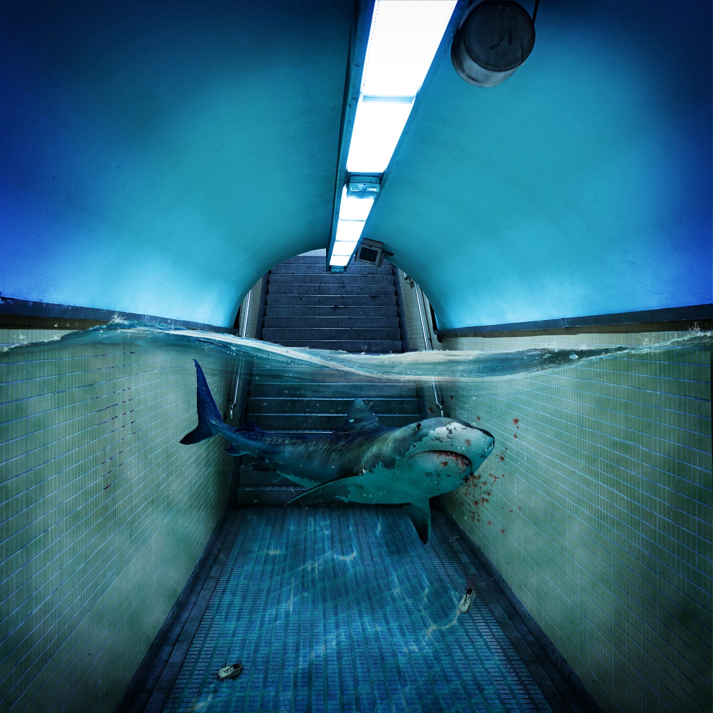Pasillo y tiburón