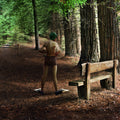 Bosque y nadador